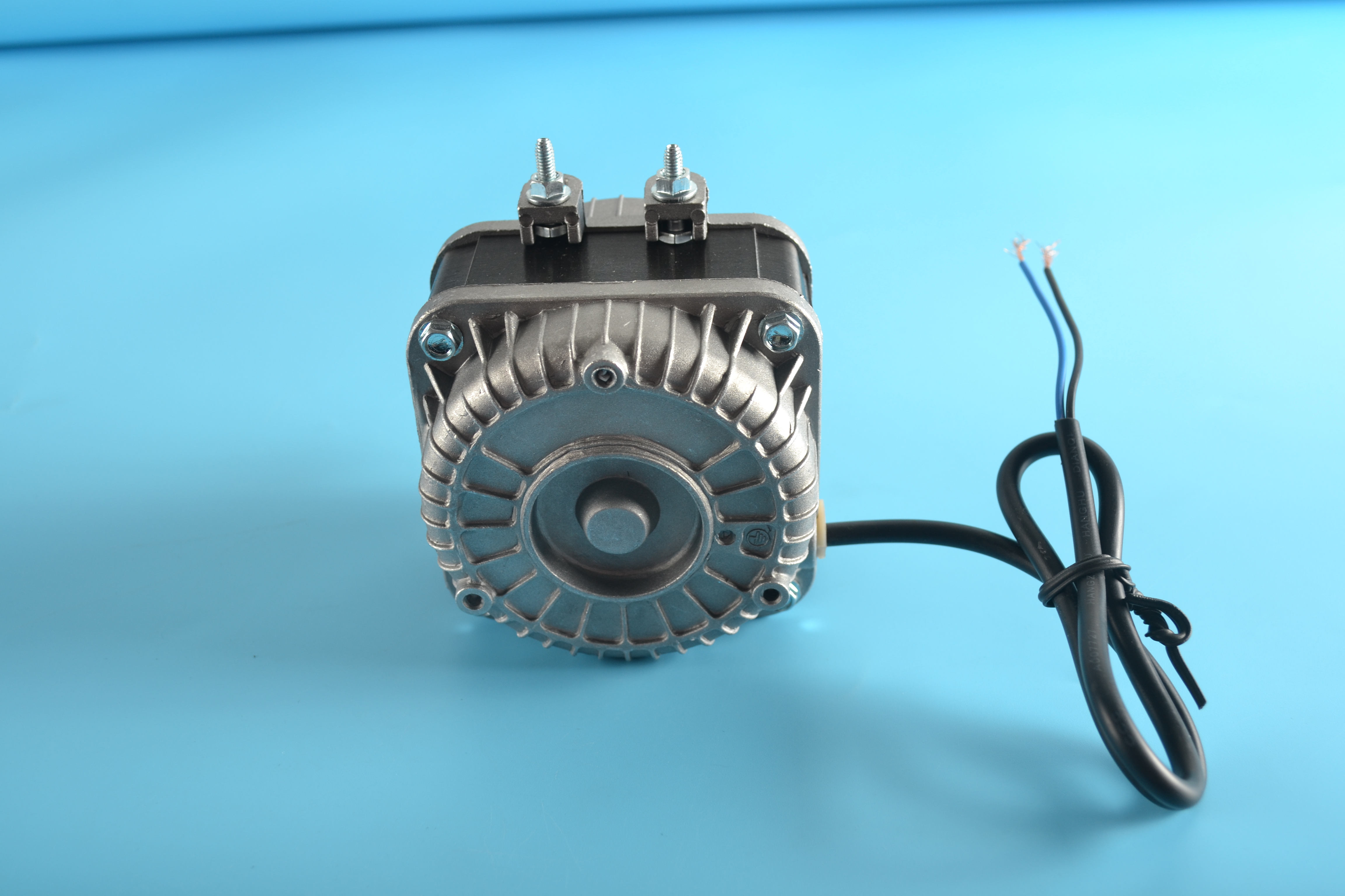 Motor - B02010017